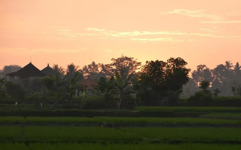 Devi's Place Ubud