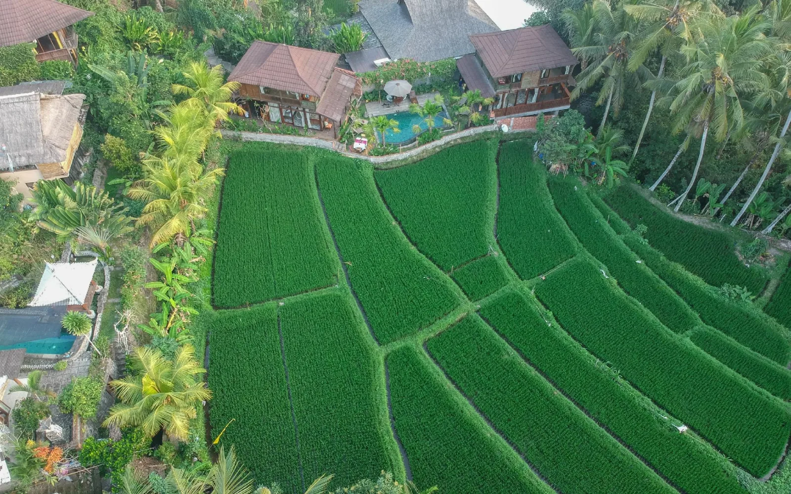 Gusde House Villas