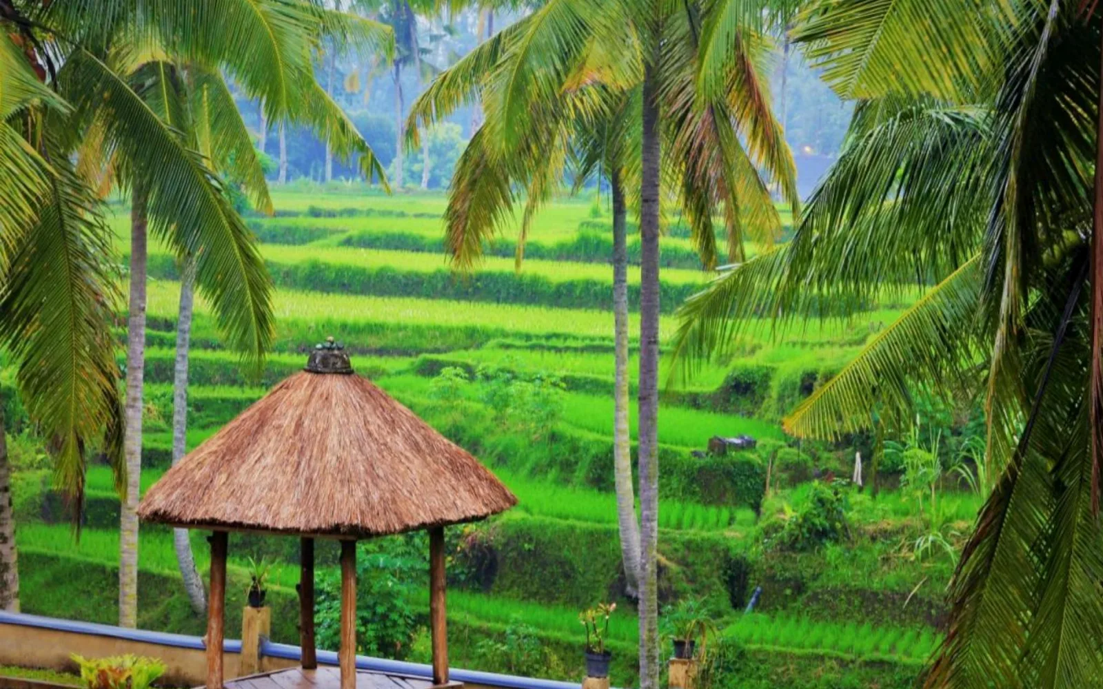 Junjungan Suite Villa