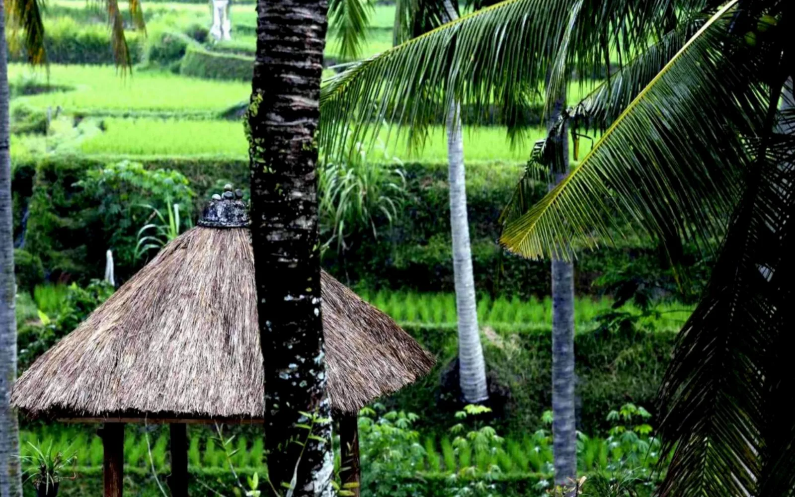 Junjungan Suite Villa
