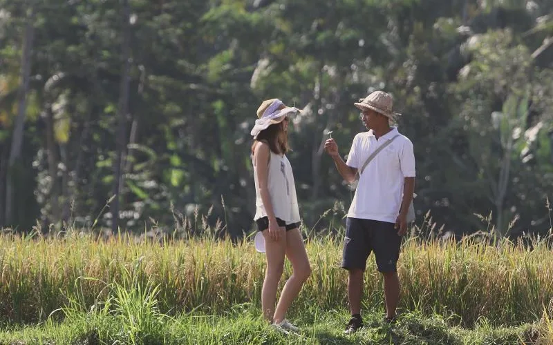 Kawi Resort Ubud