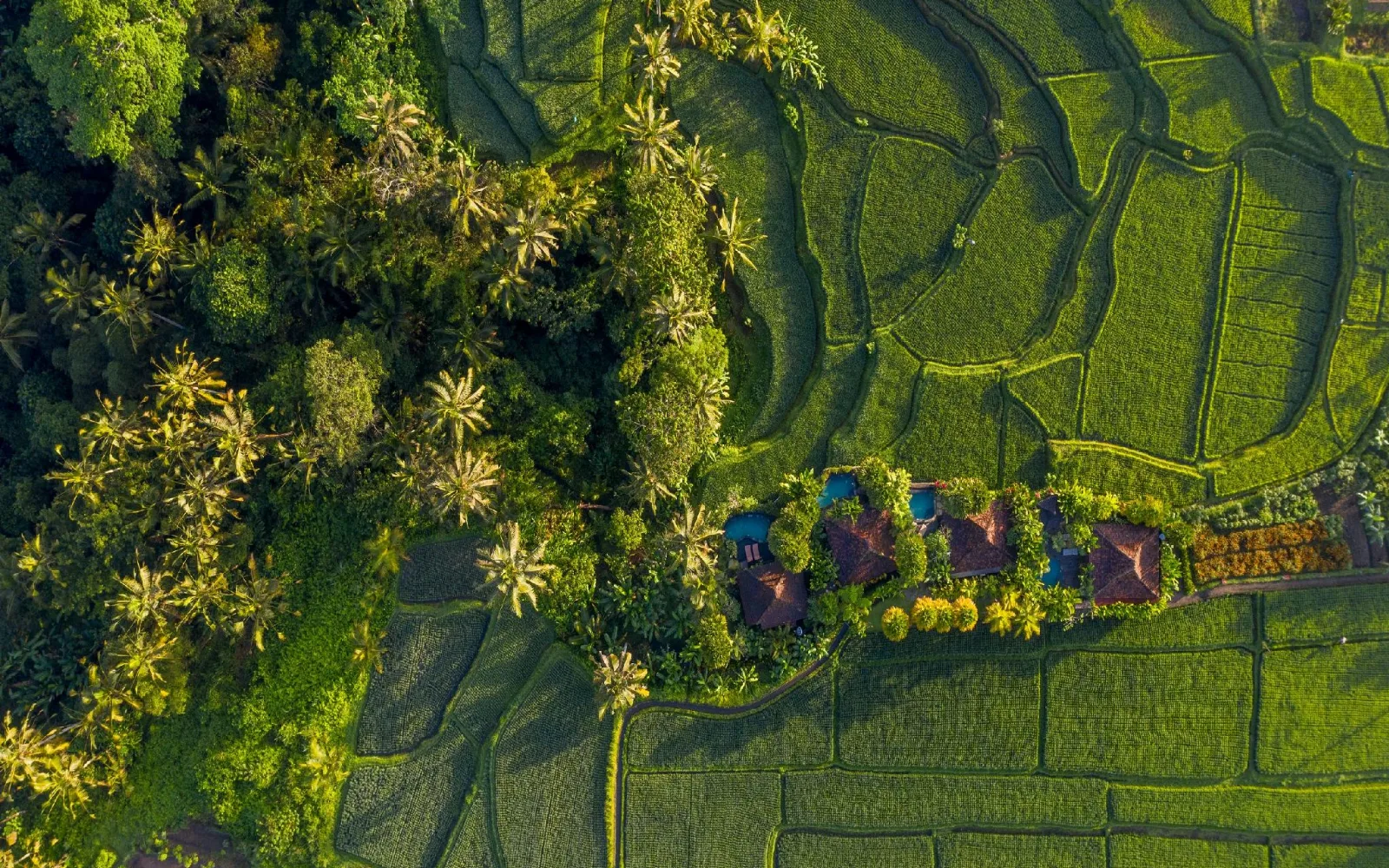 Madani Antique Villas