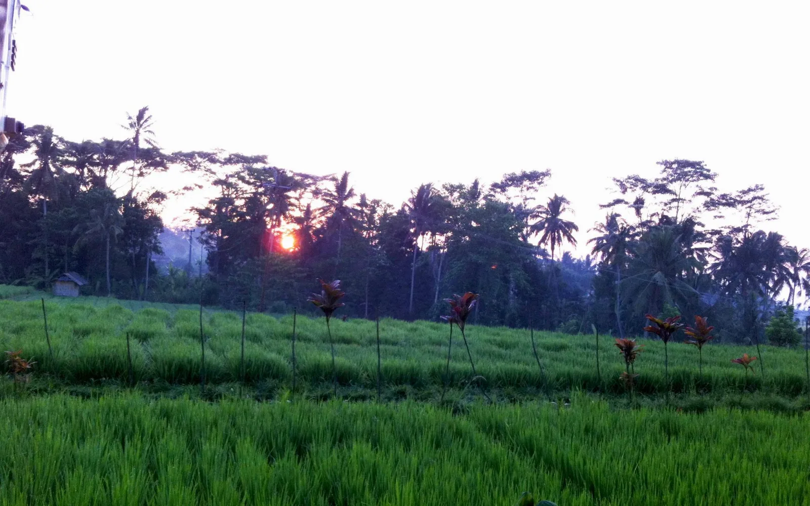 Neyang Villa