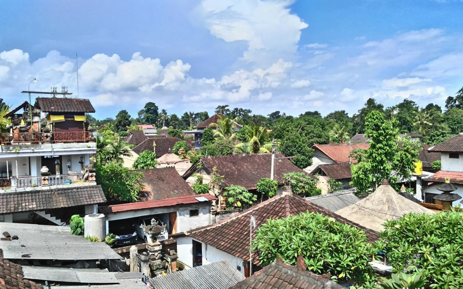 Nyoman Badri Homestay