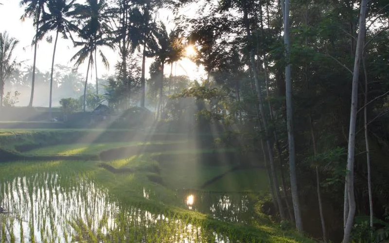 Puri Sebali Resort Ubud
