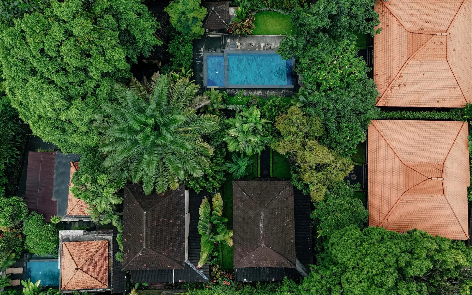 Sari Bamboo Villas
