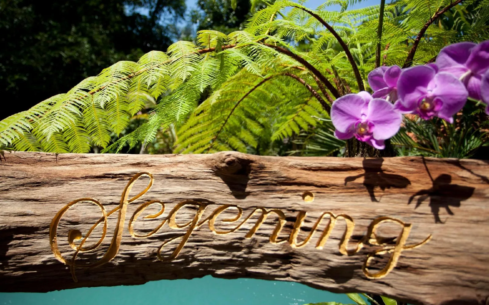 Segening Private Villa