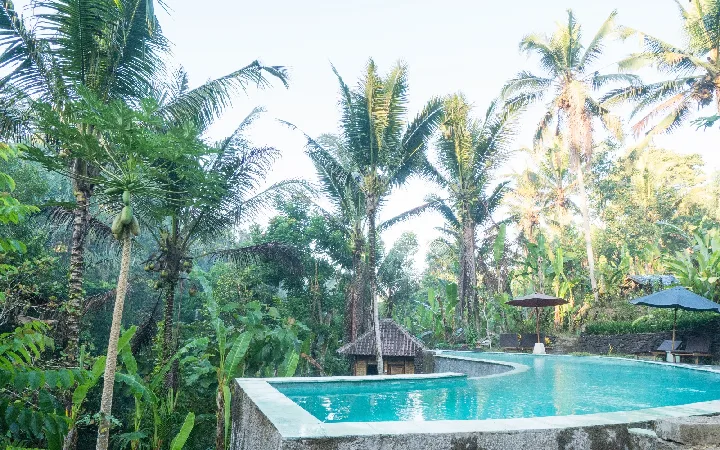 Song Broek Jungle Resort