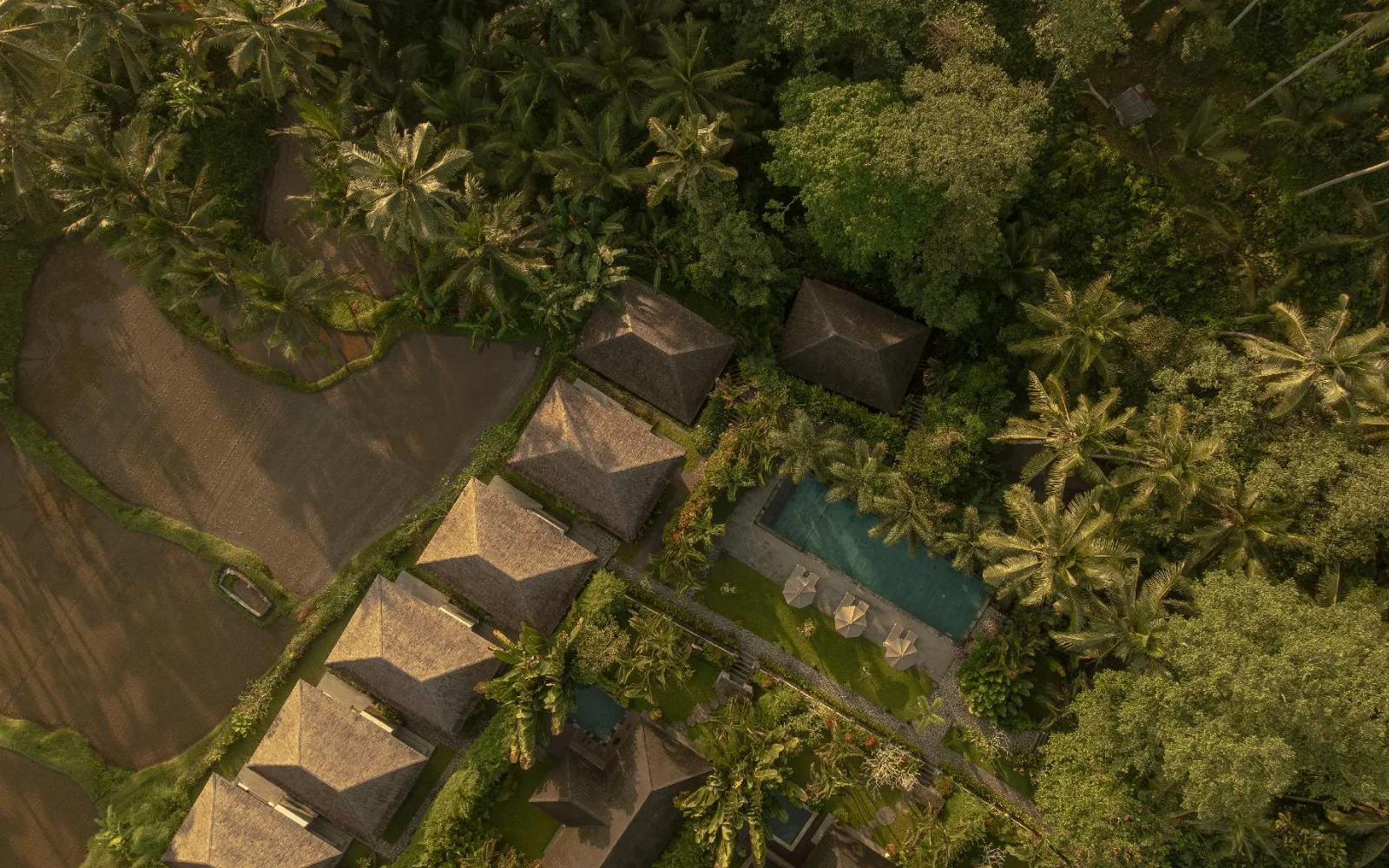 Suara Air Resort Ubud