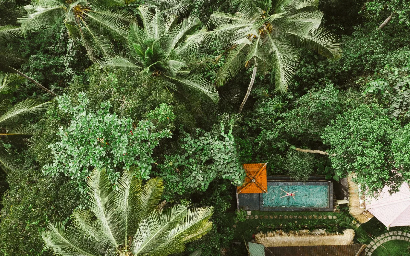 The Nest in Ubud