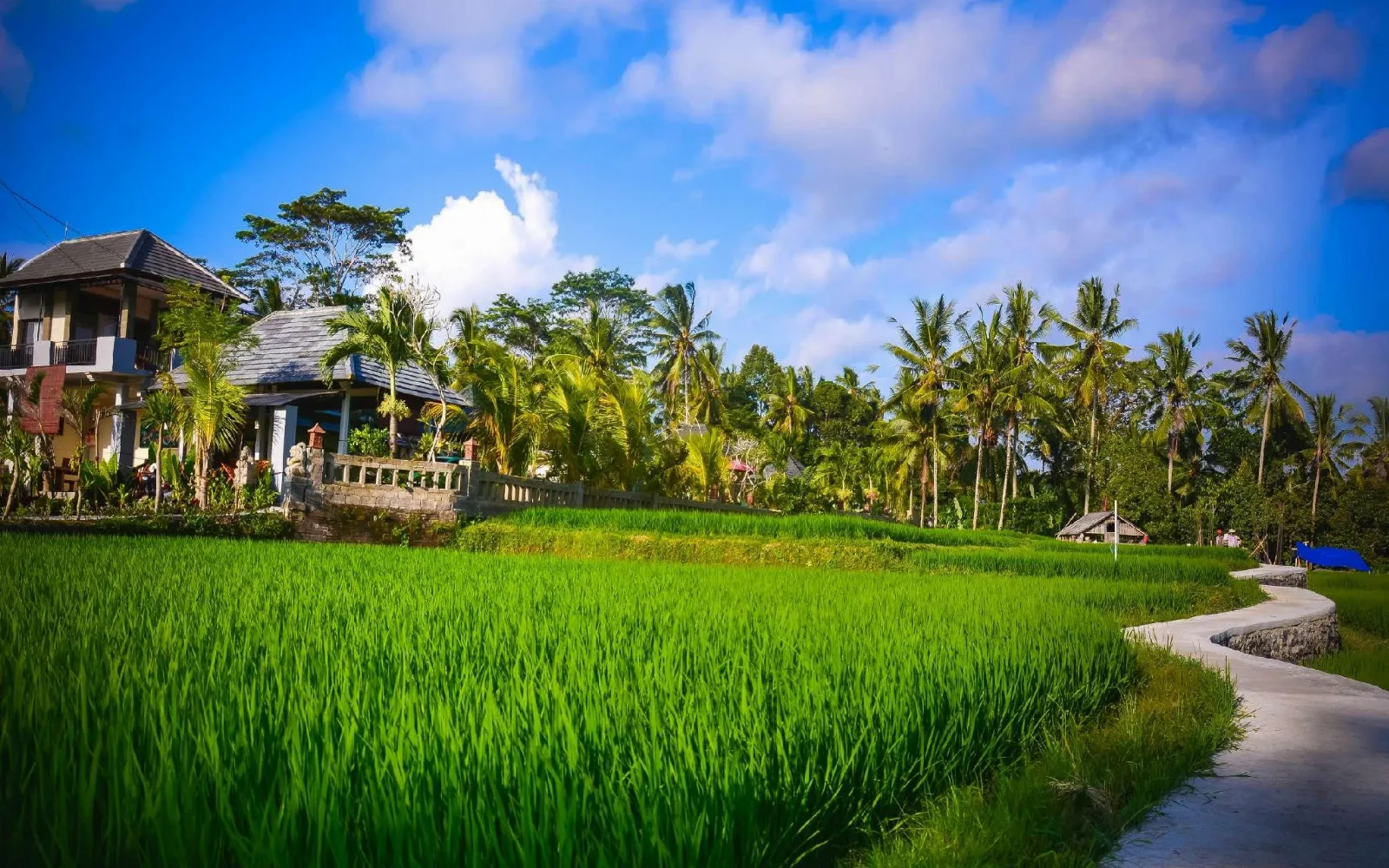 Villa JJ and Spa Ubud