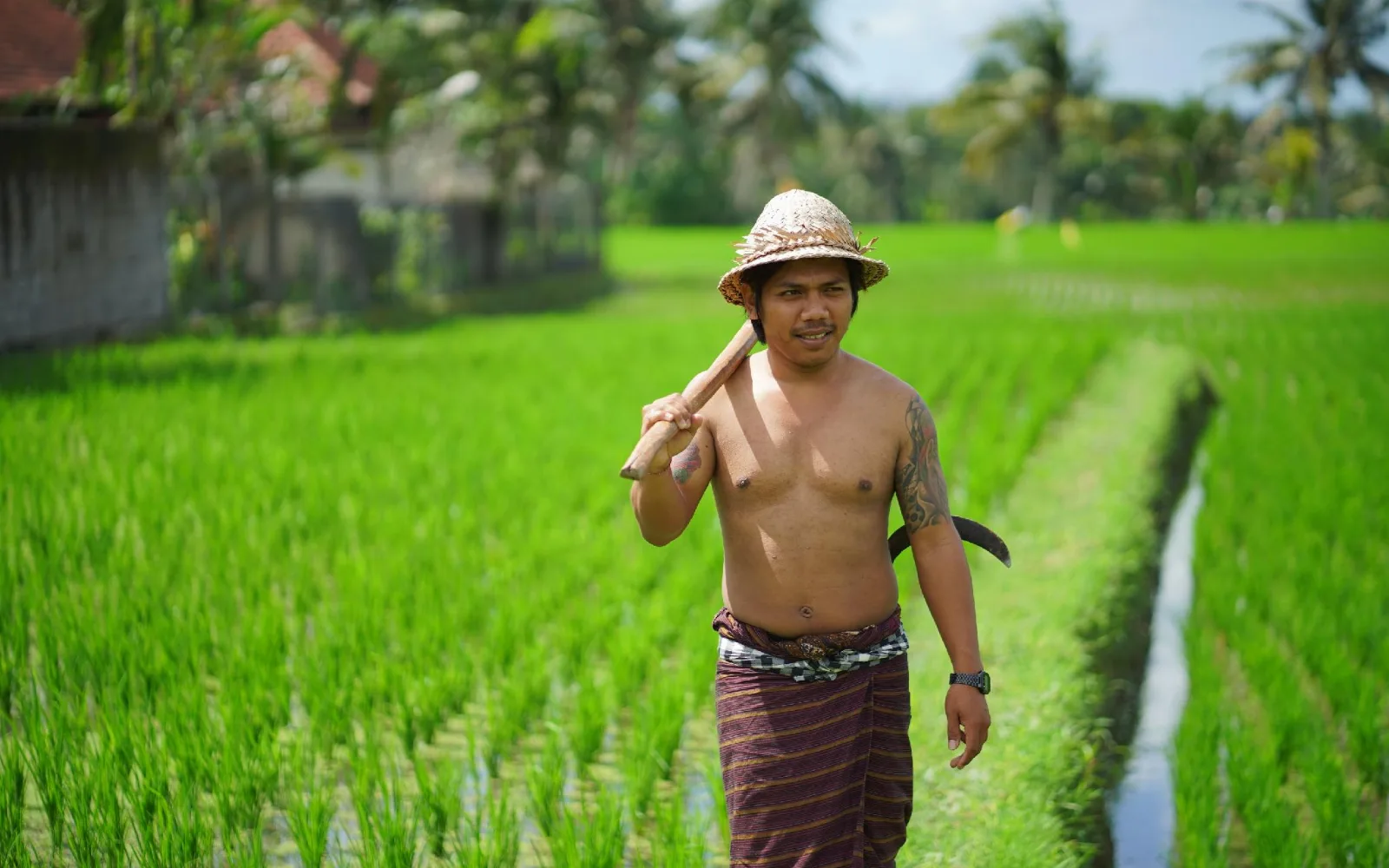 Villa Mandi Resort & Spa