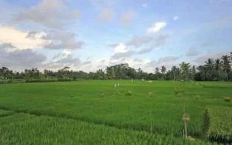 Villa Sujati