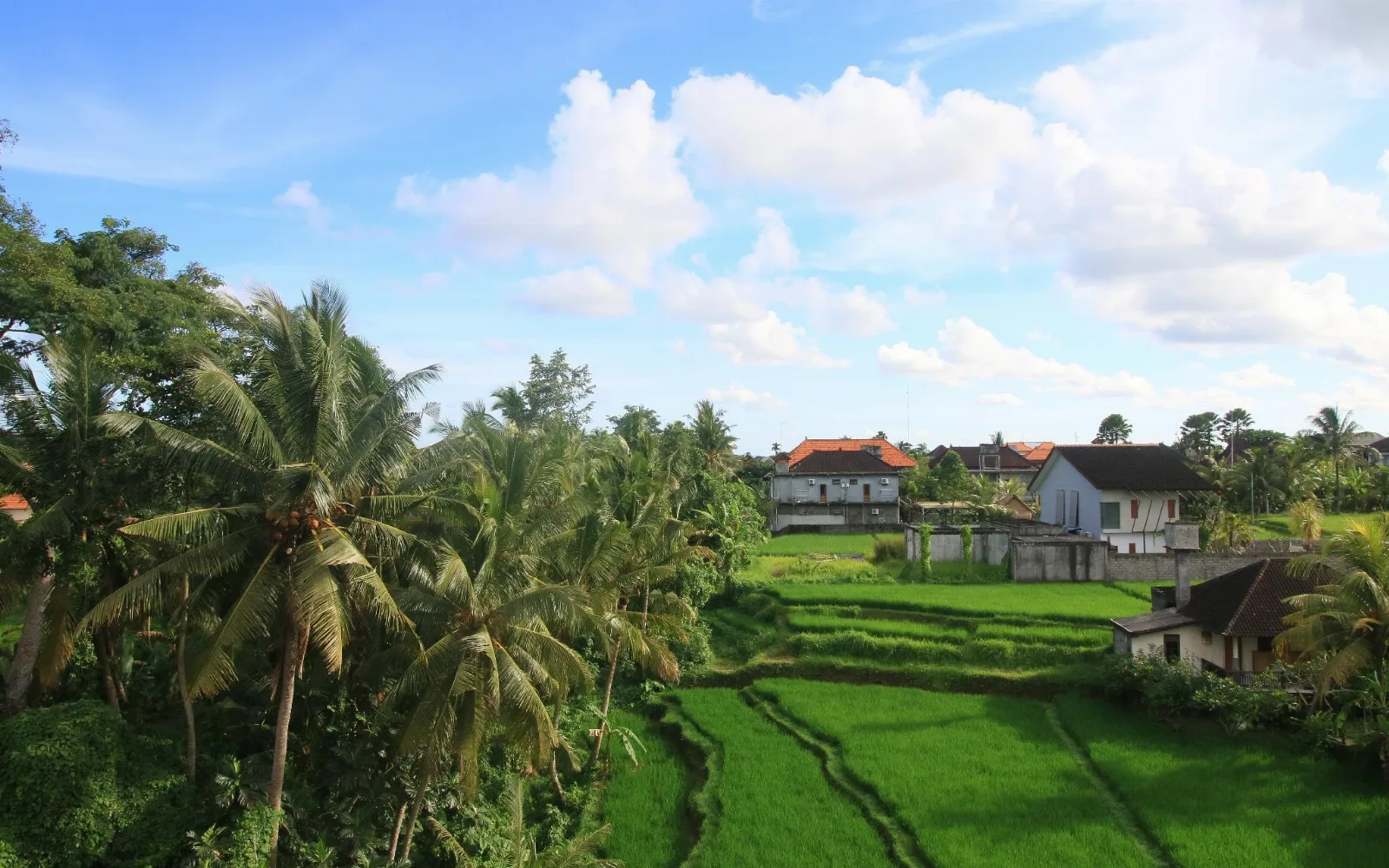 Villa Ubud Sunshine