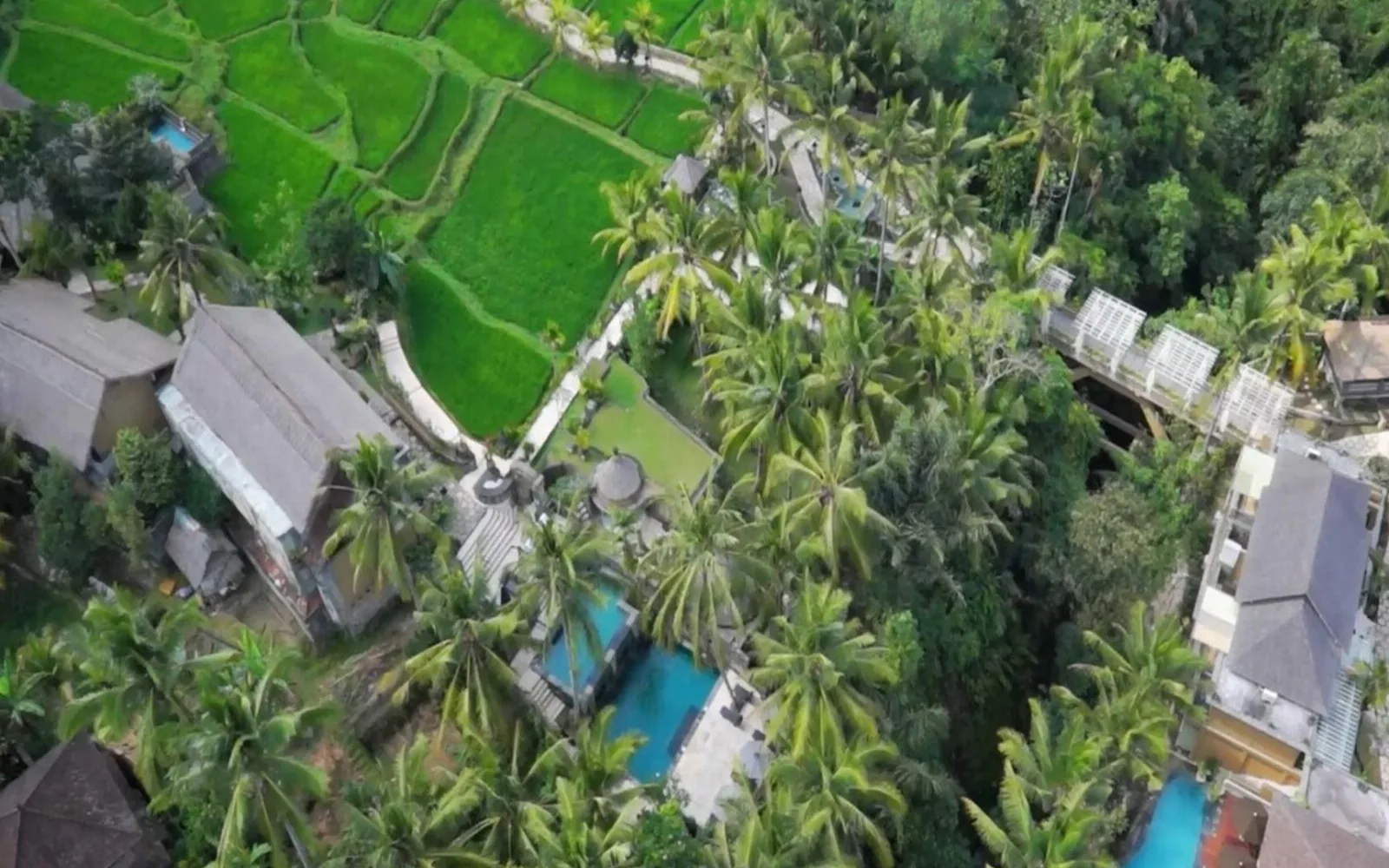 Wapa di Ume Ubud