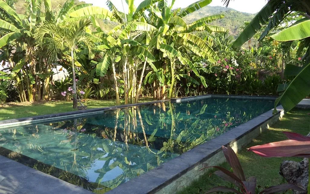 Adi Wellness & Spa at Villa Adi