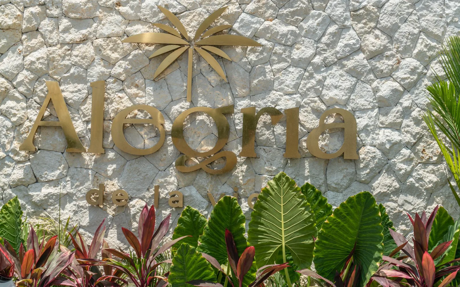Alegria Wellness & Spa at Alegria de la Vida