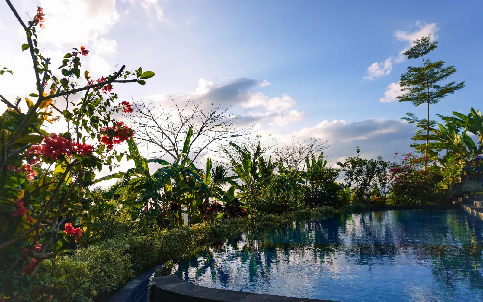 Arya Wellness & Spa at Arya resort nusa penida