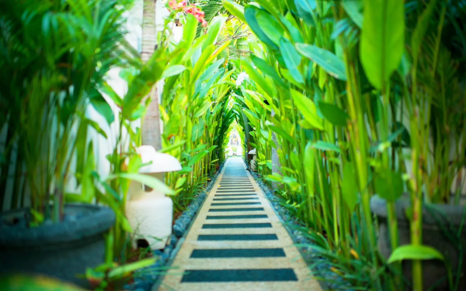 Awila Wellness & Spa at Awila Villas Kuta