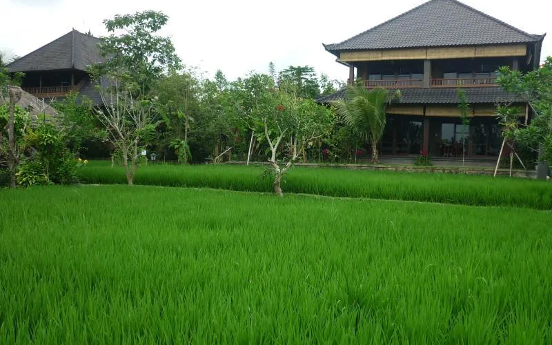 Bliss Wellness & Spa at Bliss Spa Ubud Hotel