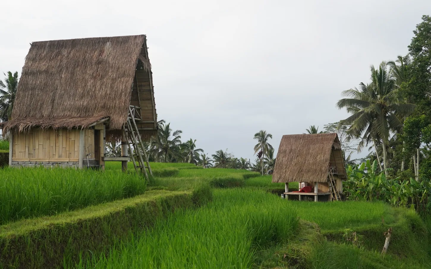 Brahma Shanti Healing & Herbal Sanctuary Banjar