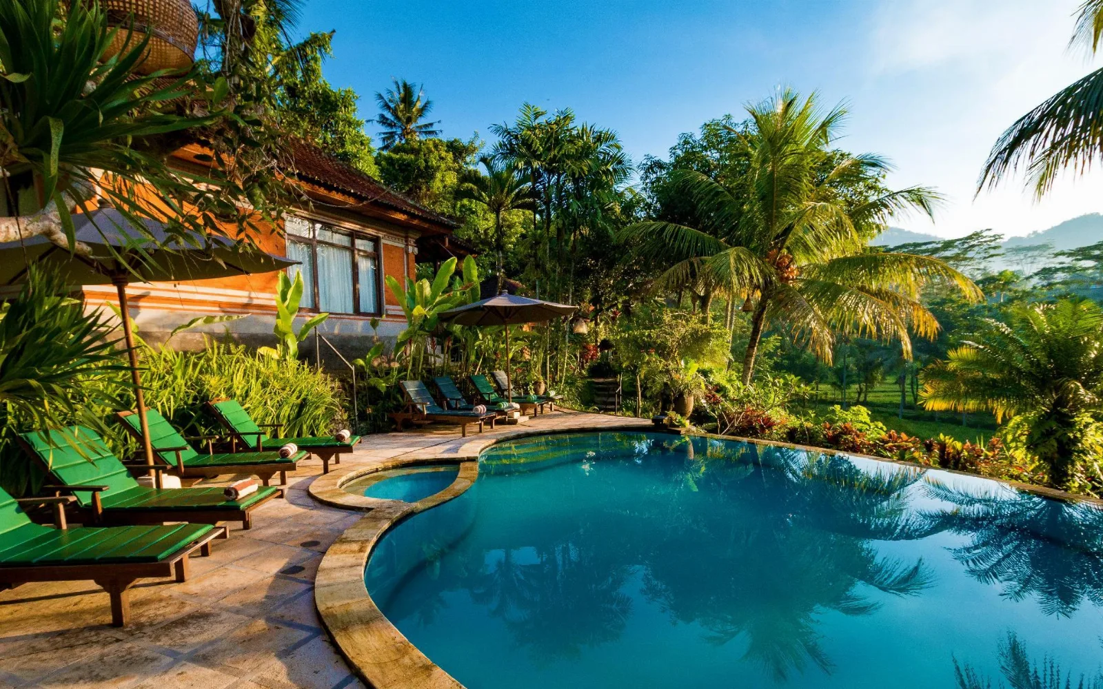 Cepik Wellness & Spa at Cepik Villa Sidemen by AGATA