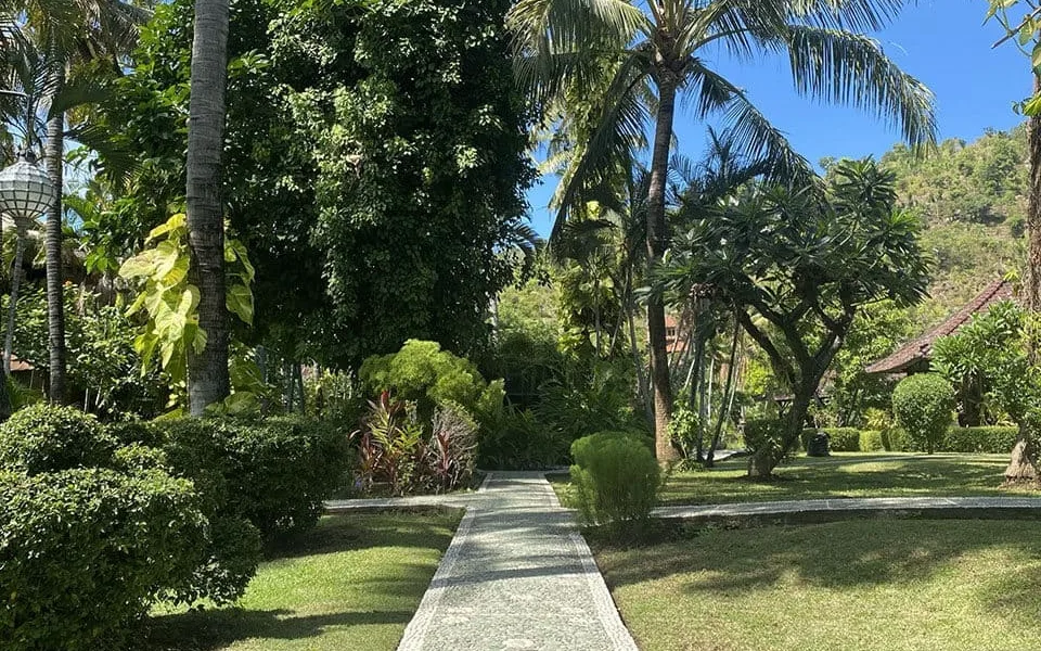 Coral Wellness & Spa at Coral View Villas