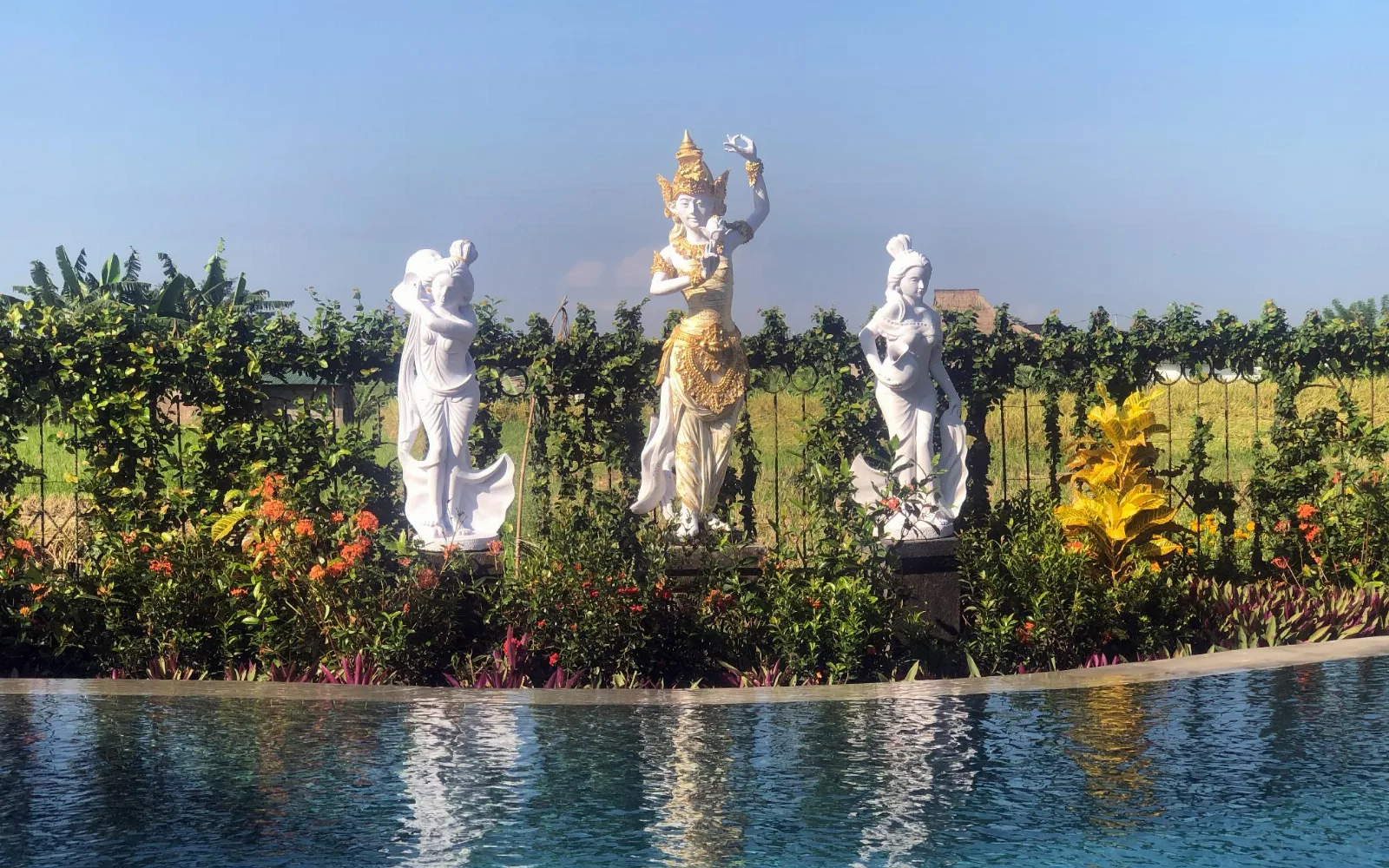 Devi's Wellness & Spa at Devi's Place Ubud