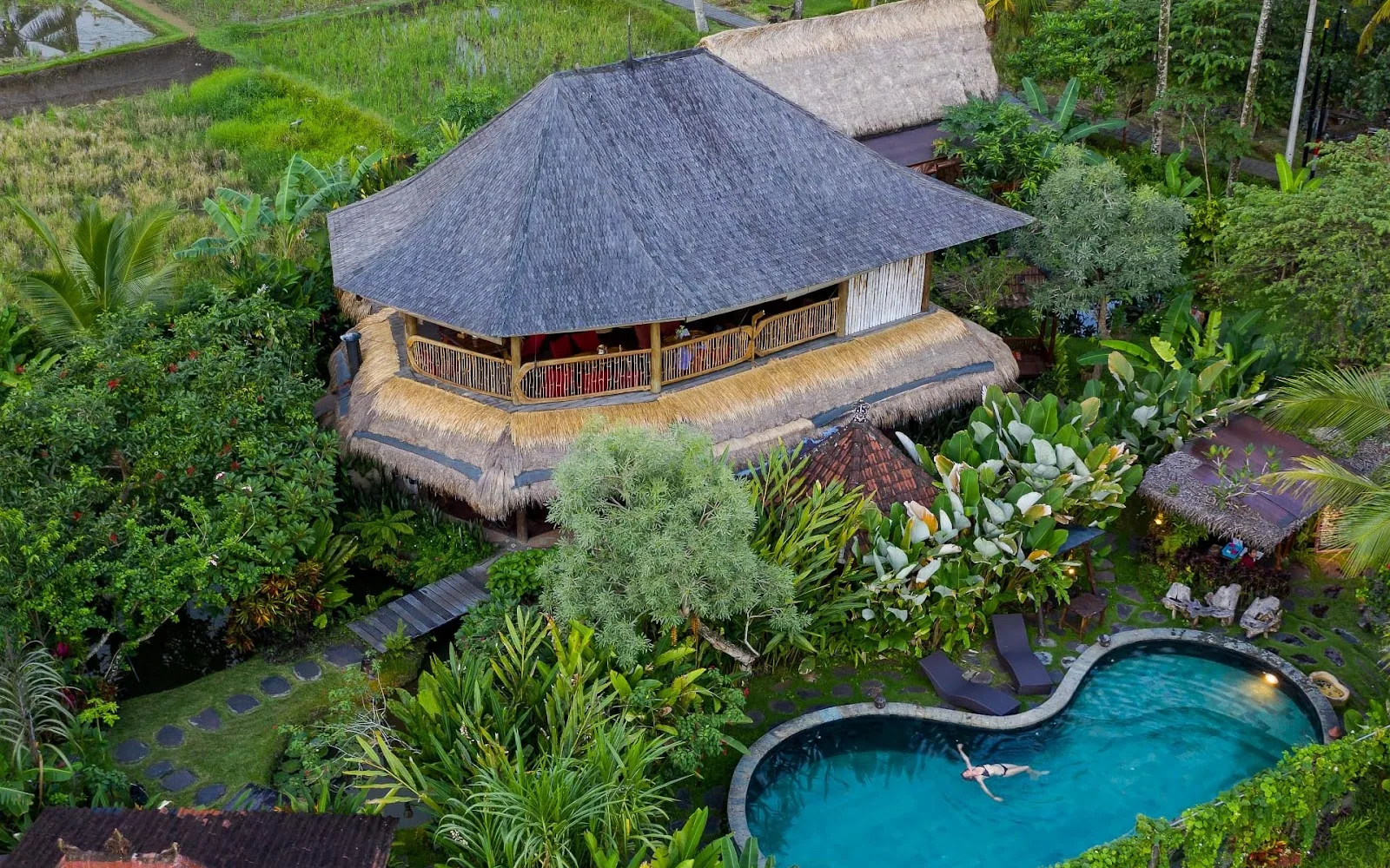 Dragonfly Village