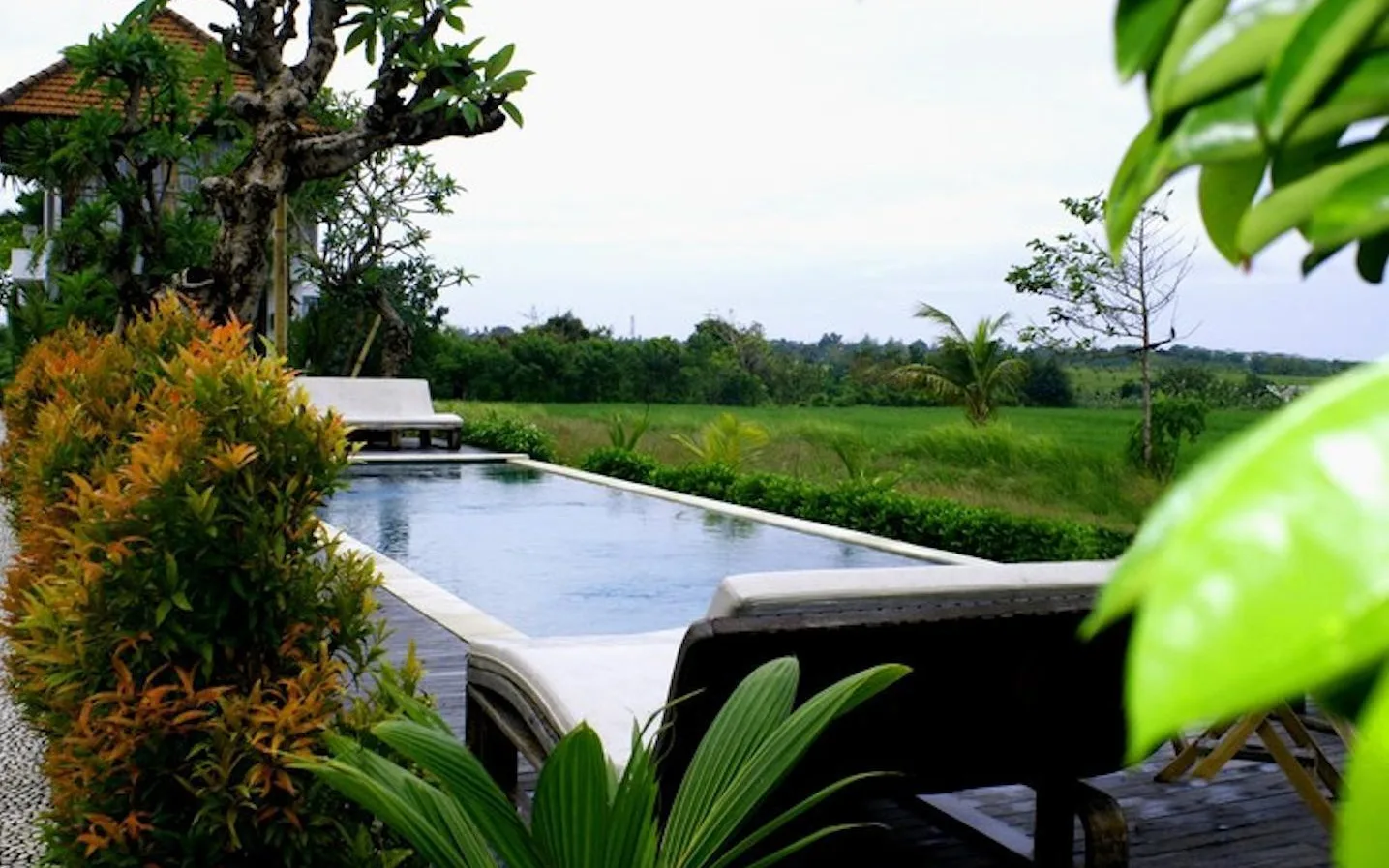 D'Sawah Wellness & Spa at D'Sawah Villa