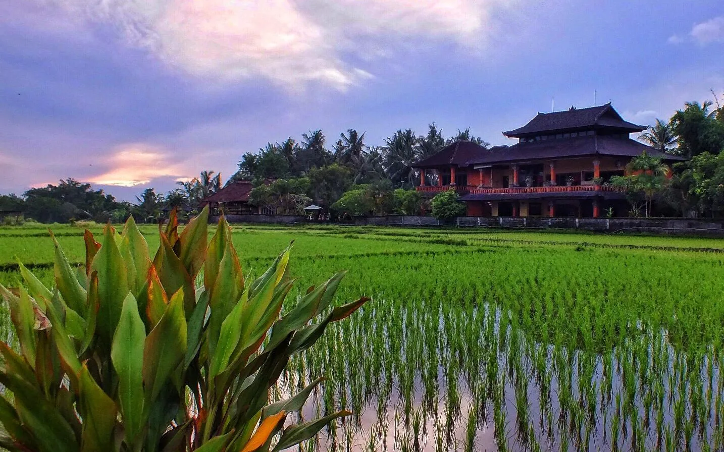 Holistic Wellness Sanctuary at Villa Mandala Desa Boutique Resort