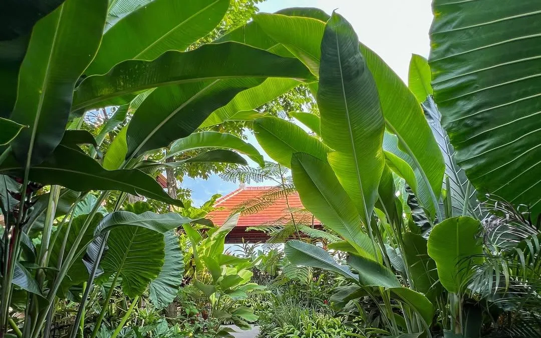 In-Villa Traditional Healing Therapies at Odessa Village by GenuineHost iso by Pramana Villas