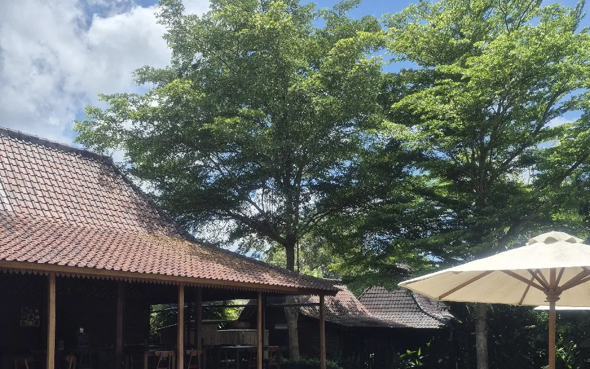 Kayu Holistic Spa & Wellness at Kayu Village