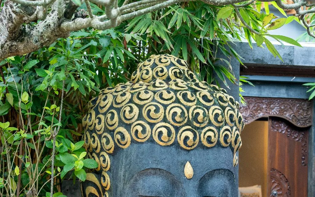 La Wellness & Spa at La Paradis Villa