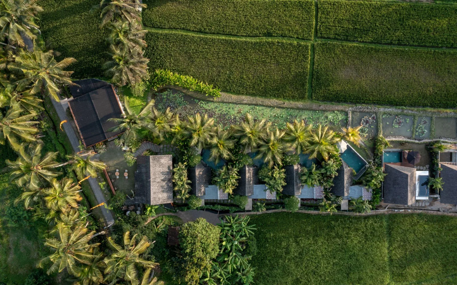 Lasamana Wellness & Spa at Lasamana Villas Ubud by GenuineHost