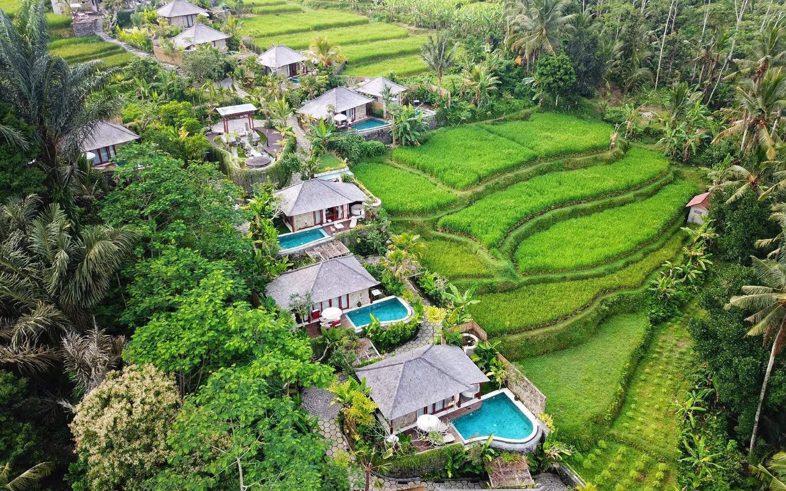 Nau Wellness & Spa at Nau villa Ubud