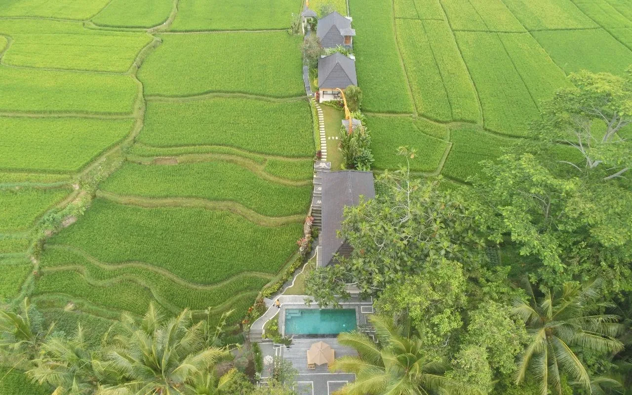 Puri Wellness & Spa at Puri Raya Villa luxury traditional home in Ubud