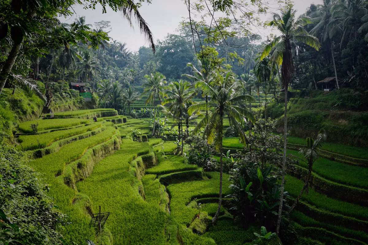 Sanak Retreat Bamboo Wellness