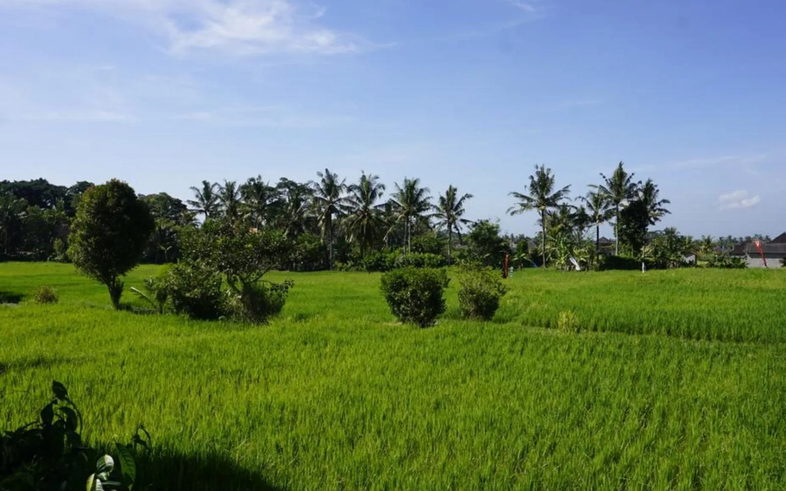 Sari Wellness & Spa at Sari Bamboo Bungalows