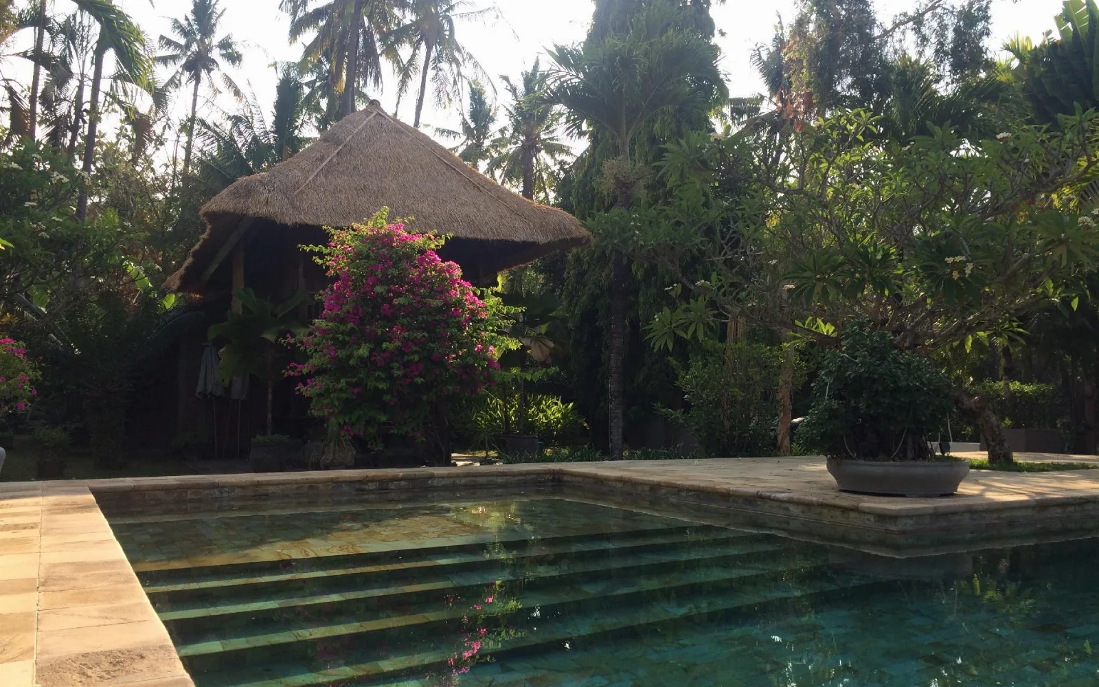 Small Wellness & Spa at Small paradise near the ricefields