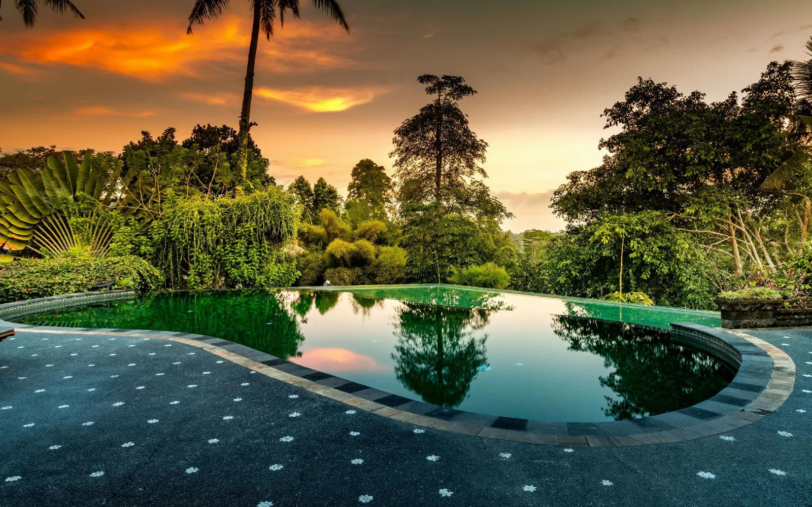Tanah Wellness & Spa at Tanah Merah Art Resort by AGATA