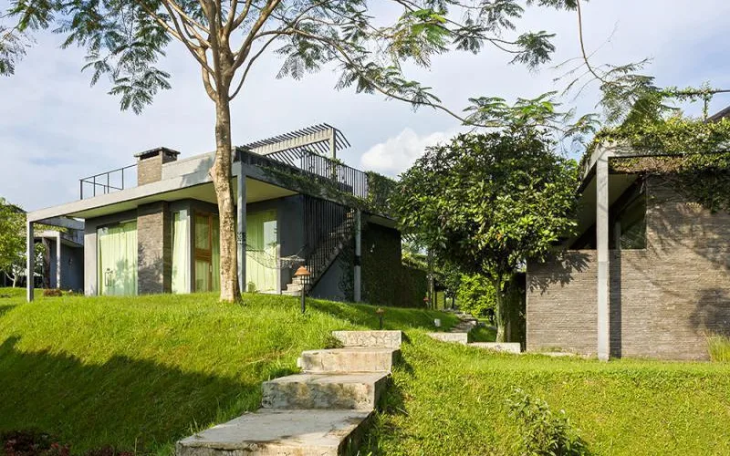 Tea Wellness & Spa at Tea Garden Resort