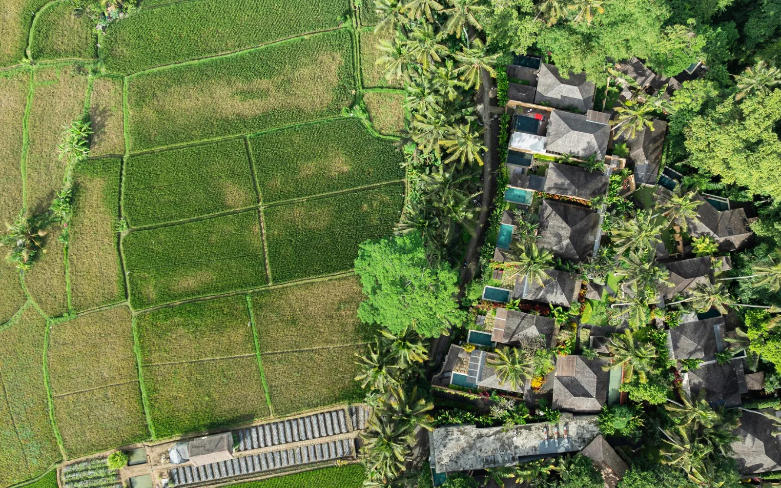 Temuku Wellness & Spa at Temuku Ubud Villas