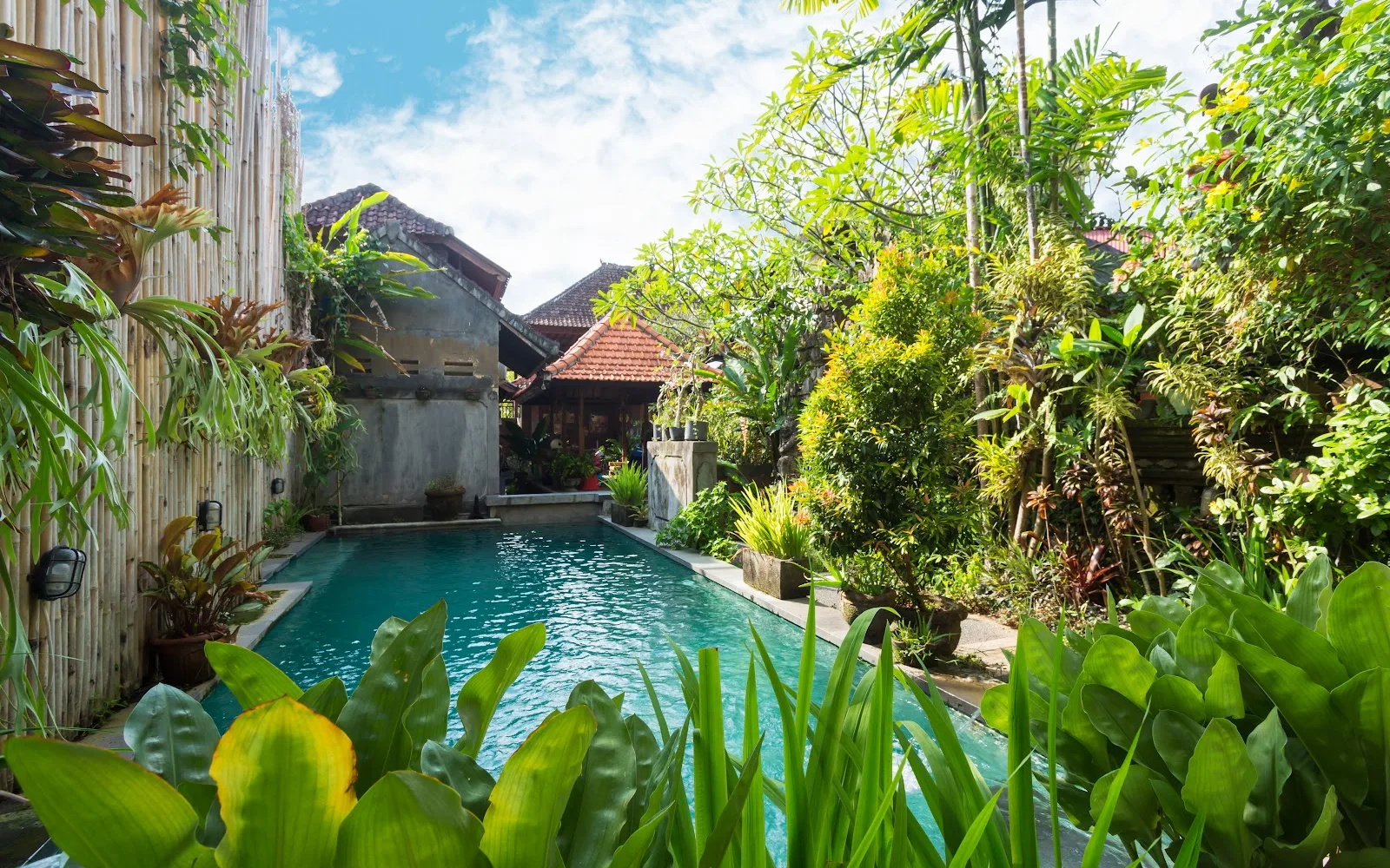 Ubud Sari Holistic Health Resort