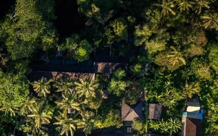 Ubud Wellness & Spa at Ubud Padi Villas