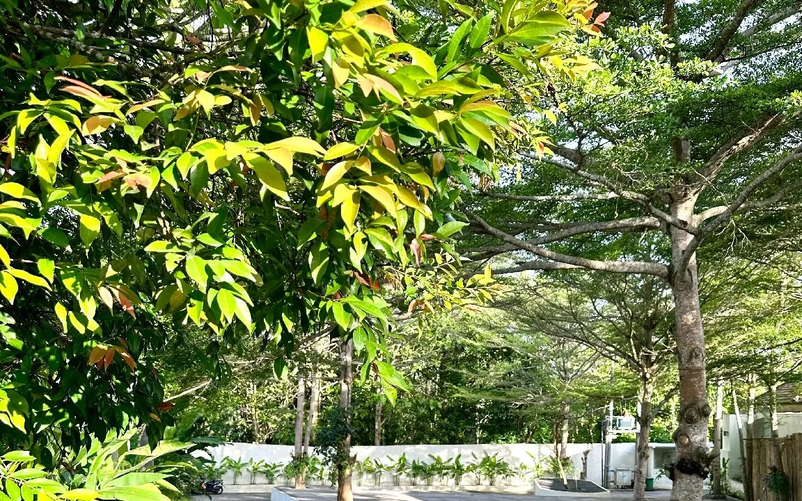 Ulu Wellness & Spa at The Ulu Hills