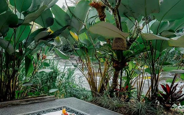 Villa Wellness & Spa at Villa Semana Resort & Spa