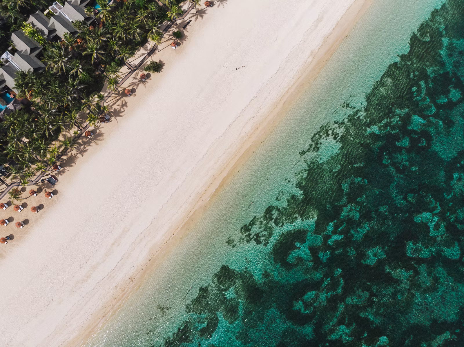 Indian Tourist Arrivals to Bali Fall 8.14% in 2026 as Travel Market Shifts Toward Higher-Value Segments