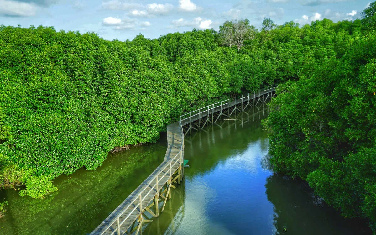 New Ecotourism Initiative Attracts Bali Tourists To Unexplored Areas