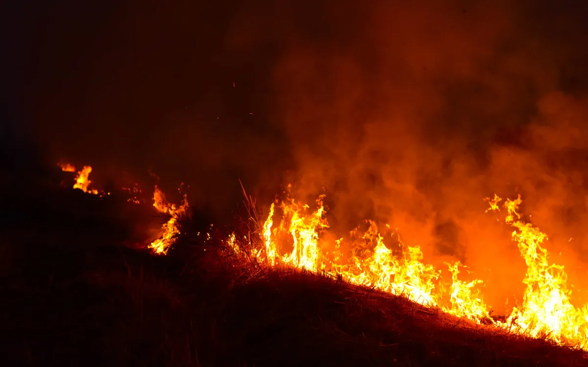 Wildfires Ravage Indonesia: Here’s What Bali Tourists Need To Know